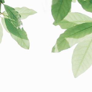 男女插孔免费观看视频
